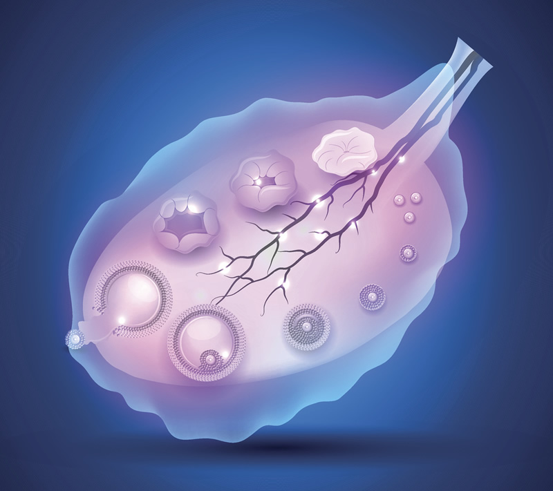 无锡三代试管私立机构成功率怎么样-无锡妇幼能做三代试管婴儿！